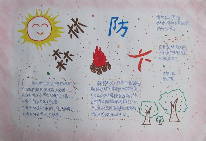森林防火手抄报图片简单漂亮