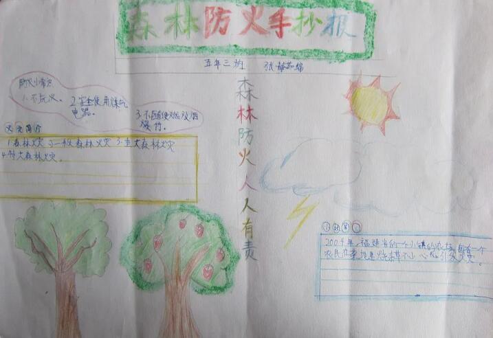森林防火手抄报图片简单漂亮