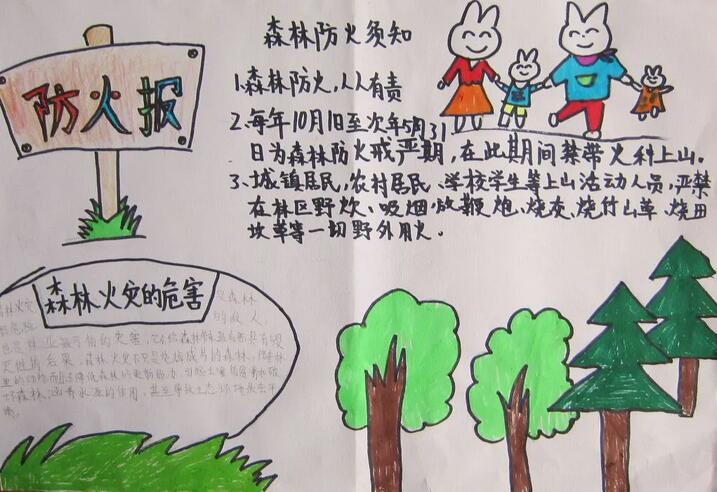 森林防火手抄报图片简单漂亮