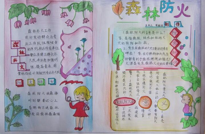 森林防火手抄报图片简单漂亮