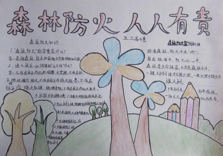 森林防火手抄报图片简单漂亮