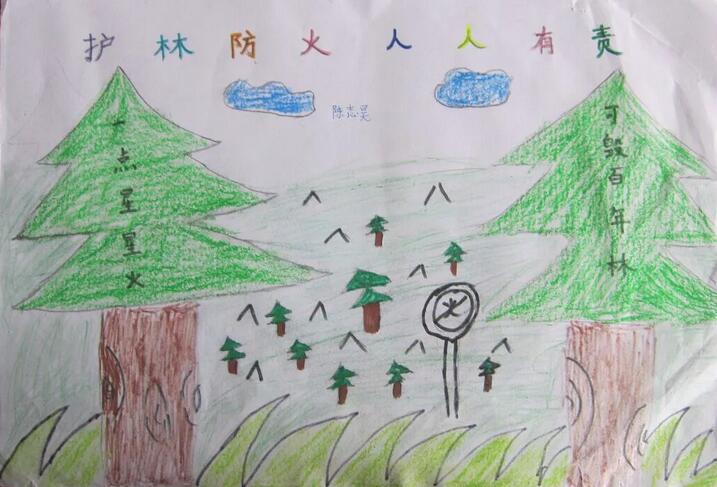 森林防火手抄报图片简单漂亮