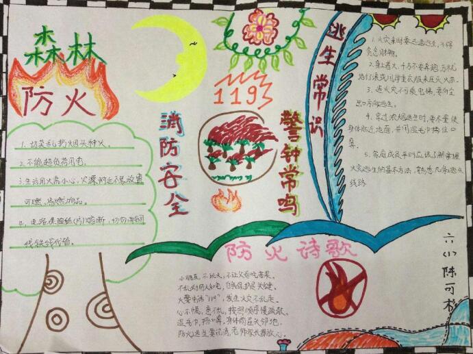 森林防火手抄报图片简单漂亮