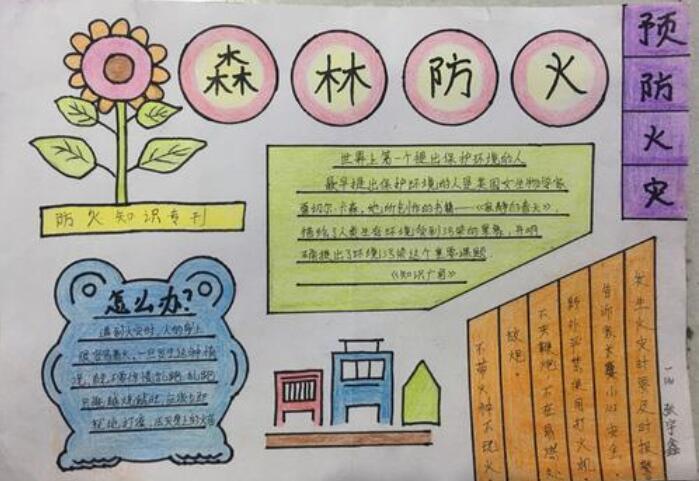 森林防火手抄报图片简单漂亮