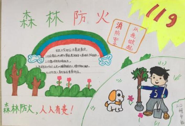 森林防火手抄报图片简单漂亮