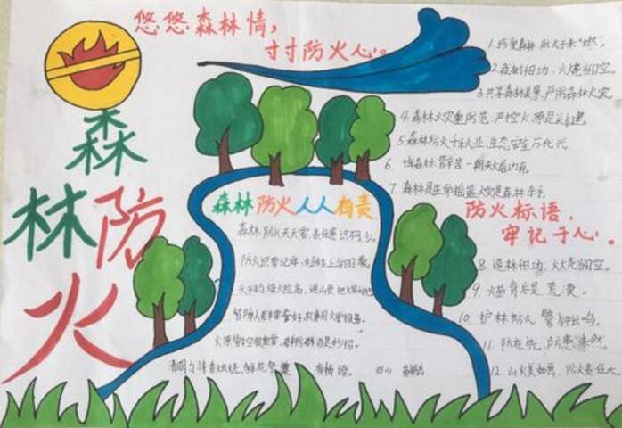 森林防火手抄报图片简单漂亮
