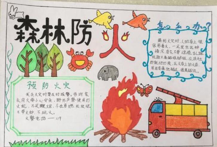森林防火手抄报图片简单漂亮