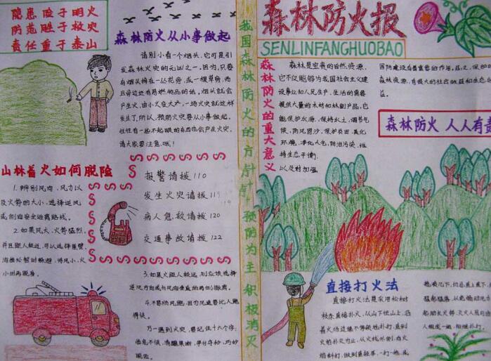 森林防火手抄报图片简单漂亮