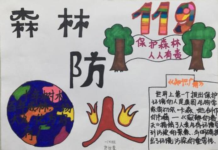 森林防火手抄报图片简单漂亮