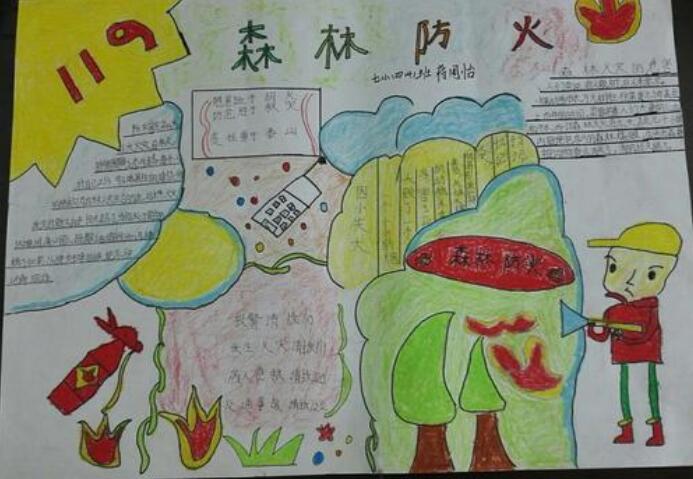 森林防火手抄报图片简单漂亮