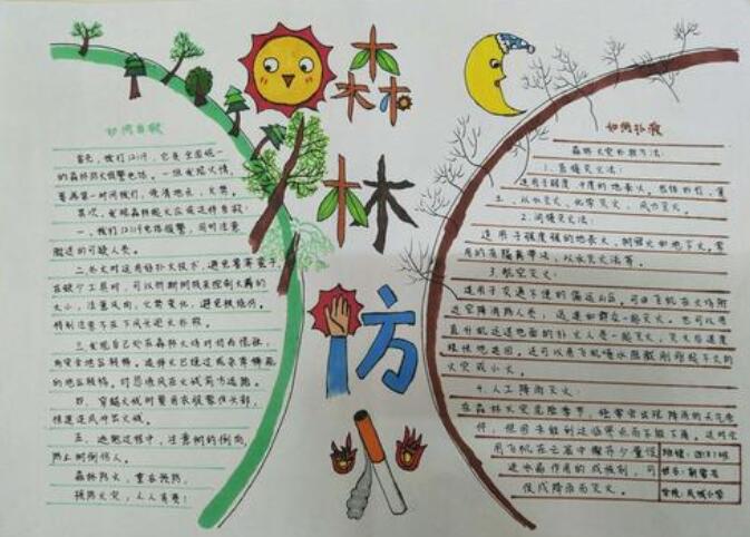 森林防火手抄报图片简单漂亮
