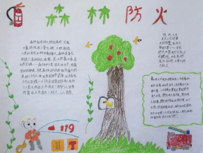 森林防火手抄报图片简单漂亮