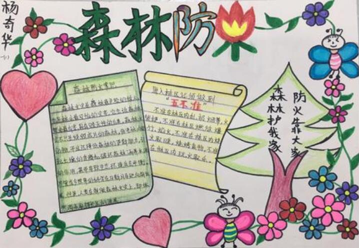 森林防火手抄报图片简单漂亮