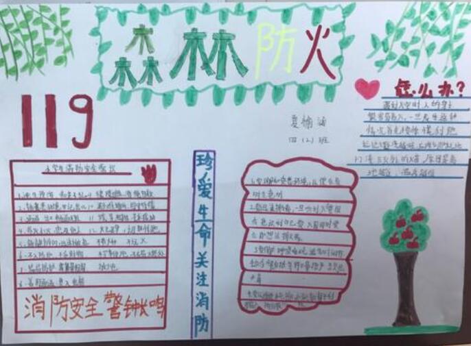 森林防火手抄报图片简单漂亮