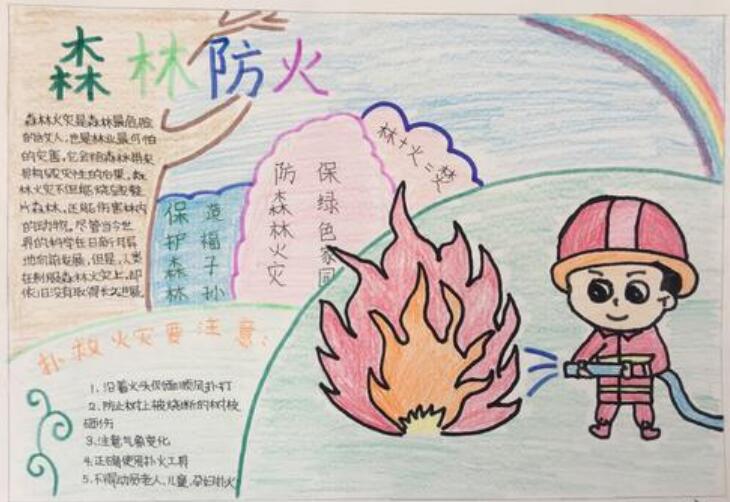 森林防火手抄报图片简单漂亮