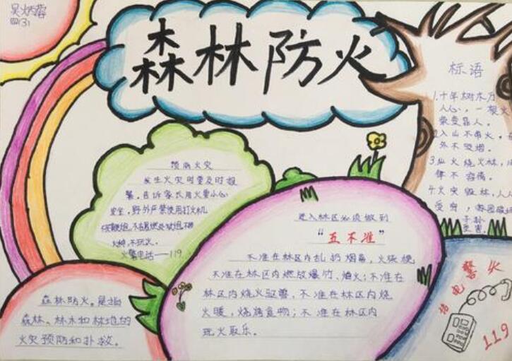 森林防火手抄报图片简单漂亮