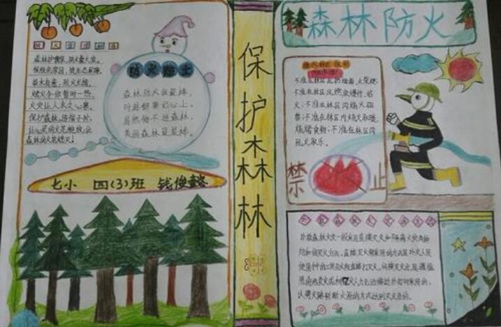 森林防火手抄报图片简单漂亮