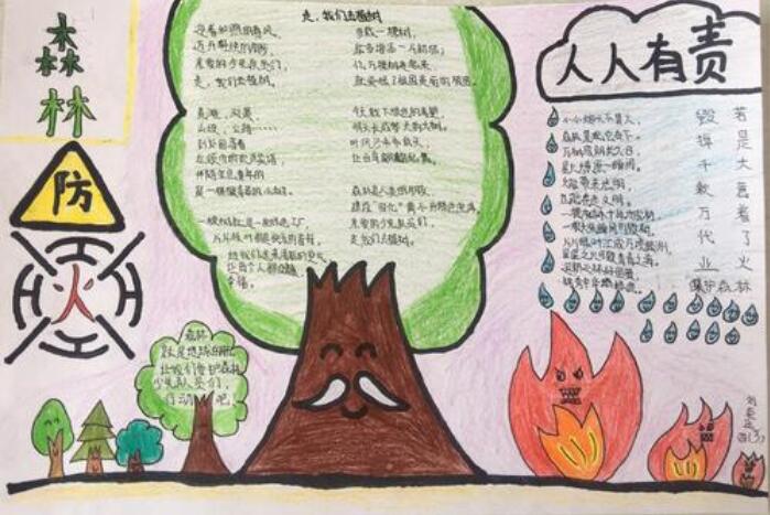 森林防火手抄报图片简单漂亮