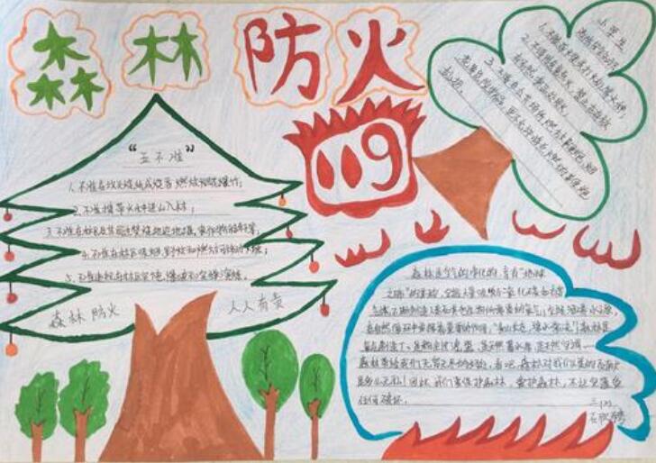 森林防火手抄报图片简单漂亮