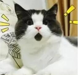 鱼油和鱼肝油的区别和作用