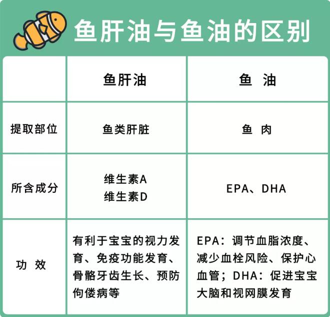 鱼油和鱼肝油的区别和作用