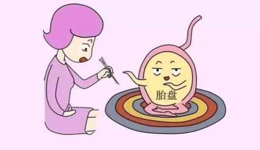 胎盘能吃吗？胎盘要怎么处理？