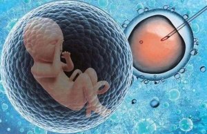 做试管婴儿可以选择生儿子吗