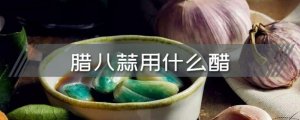 腊八蒜用什么醋好