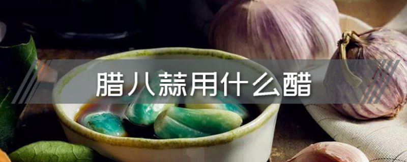 腊八蒜用什么醋好