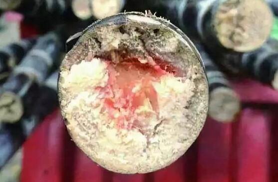 甘蔗变红了还能吃吗