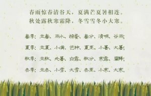 二十四节气的含义分别是什么意思