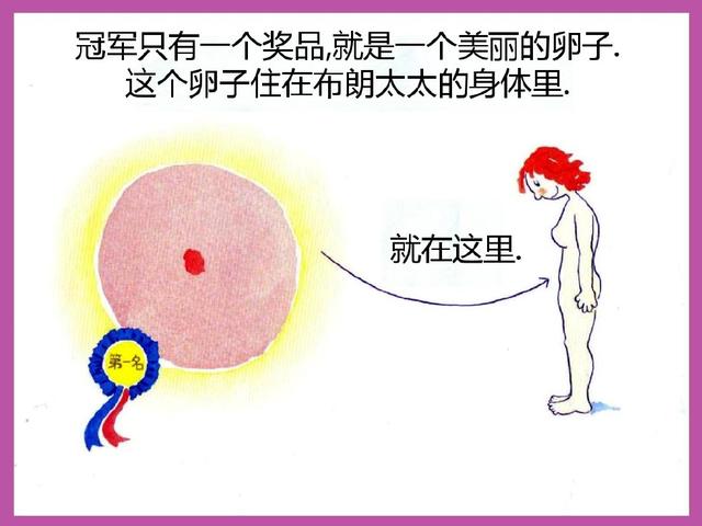 绘本推荐《小威向前冲》给孩子的性启蒙教育