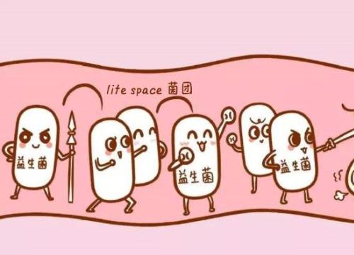 怎么给宝宝挑选益生菌？该怎么吃，吃多久？