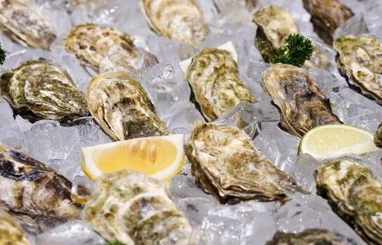 生蚝怎么保存时间最久