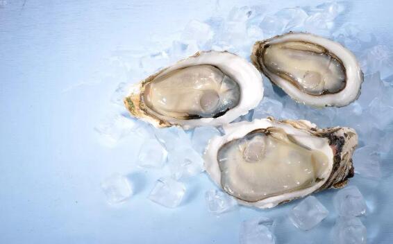 生蚝怎么保存时间最久