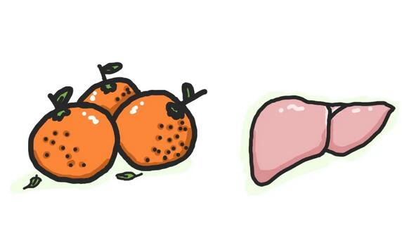 如何给孩子补充钙铁锌营养素