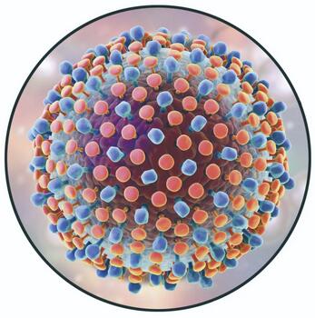 为什么病毒怕热不怕冷