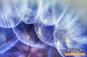 儿童绘画敏感期，如何给孩子做艺术启蒙