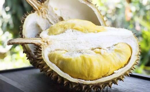 孕妇不能吃的水果 榴莲