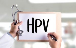 hpv是什么病什么意思