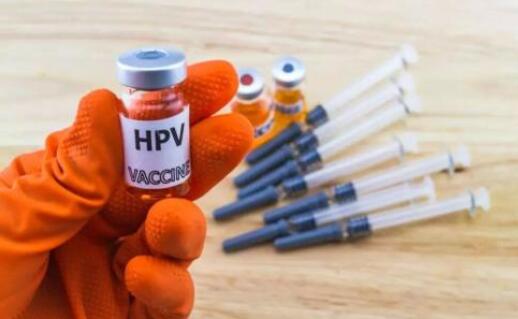 hpv是什么病什么意思