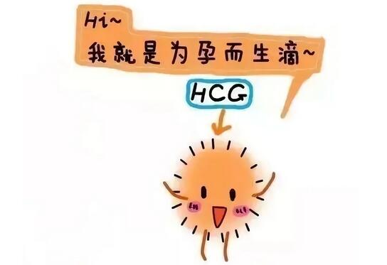 如何根据HCG值判断怀孕或宫外孕
