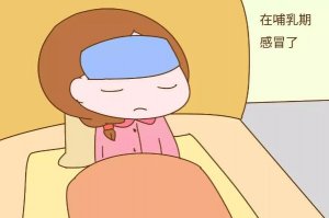 哺乳期感冒发烧流鼻涕，可以用什么药？