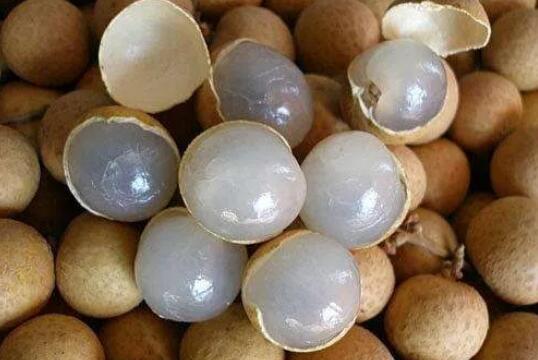 孕妇禁吃十大水果 桂圆