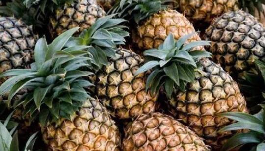 孕妇禁吃十大水果 菠萝