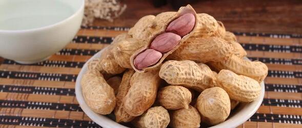 给孩子补脑的食物有哪些