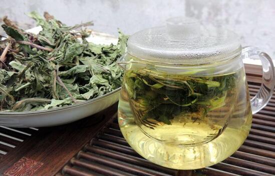 蒲公英茶可以天天喝吗