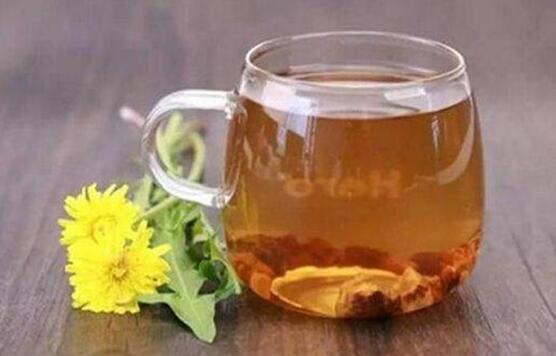 蒲公英茶可以天天喝吗