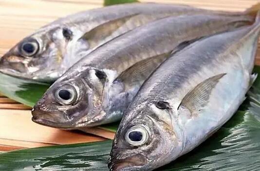 孕妇不能吃哪些食物