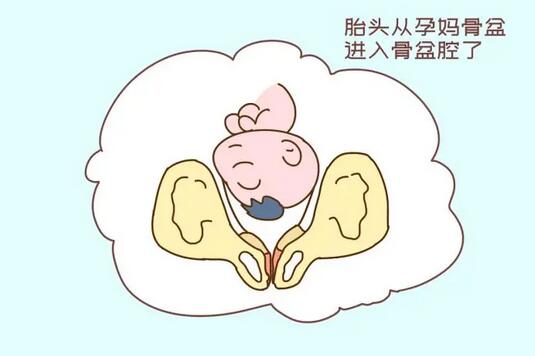胎儿入盆是什么感觉